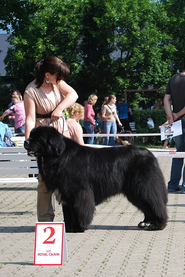 MVP neděle2